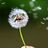 internet_friend117