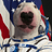 PipGoat