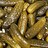 Sour_Pickle0402