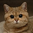 TheGarry